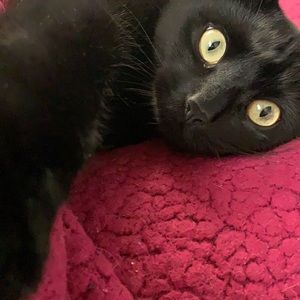 Meet your Posher, Kayla